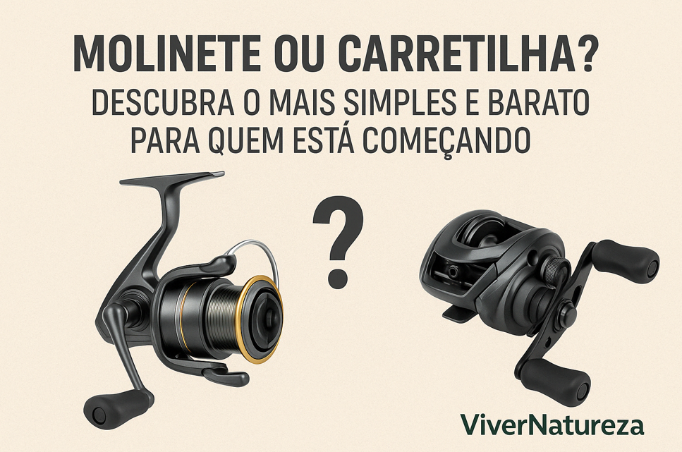 Molinete ou Carretilha? Descubra o Mais Simples e Barato para Quem Está Começando